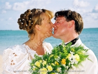 Filename=just_married_couple_on_the_beach_mauritius.jpg
Filesize=151KiB
Dimensions=800x600
Date added=Jul 29, 2008 just_married_couple_on_the_beach_mauritius.jpg