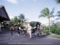Filename=wedding_at_maritim_hotel_mauritius.jpg
Filesize=174KiB
Dimensions=800x600
Date added=Jul 29, 2008 wedding_at_maritim_hotel_mauritius.jpg