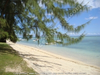 Filename=wedding_of_leena_and_sebastien_mauritius_seaside_view.jpg
Filesize=166KiB
Dimensions=800x600
Date added=Mar 30, 2011 wedding_of_leena_and_sebastien_mauritius_seaside_view.jpg