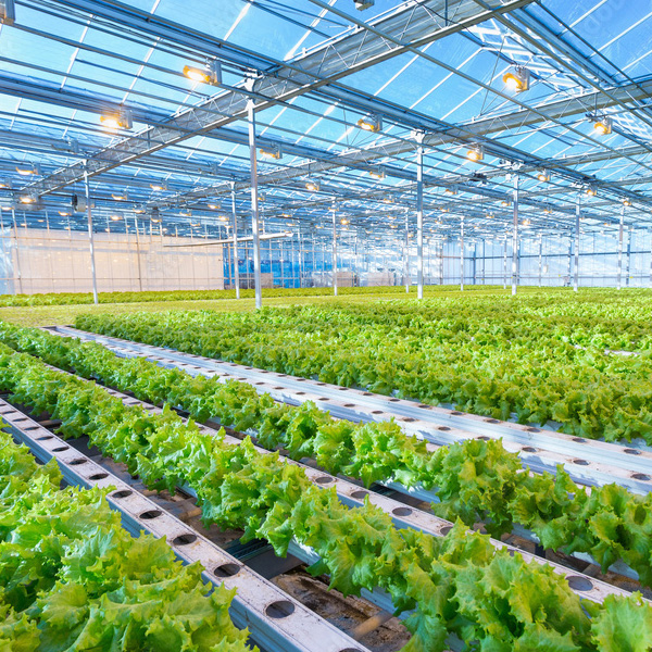 Sustainability
