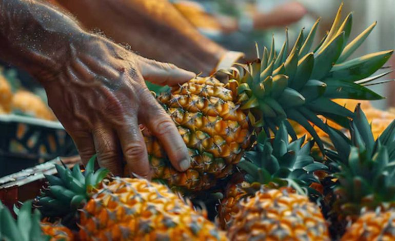  Top 10 Must-Visit Markets In Mauritius