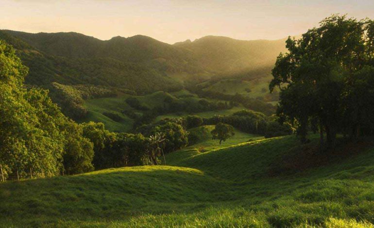  La vallée de Ferney et sa réserve faunique