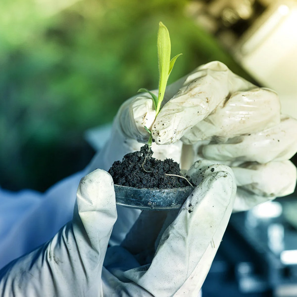 Biomaterials Research
