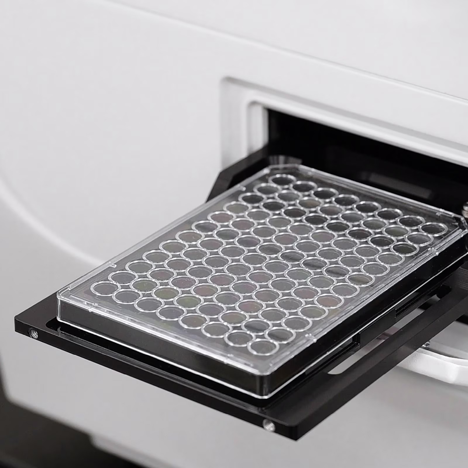 Cell Culture & Imaging Microplates