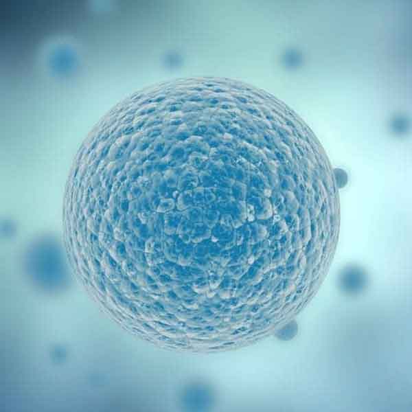 Cell signaling studies