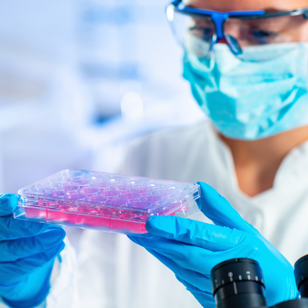 Translational and clinical research