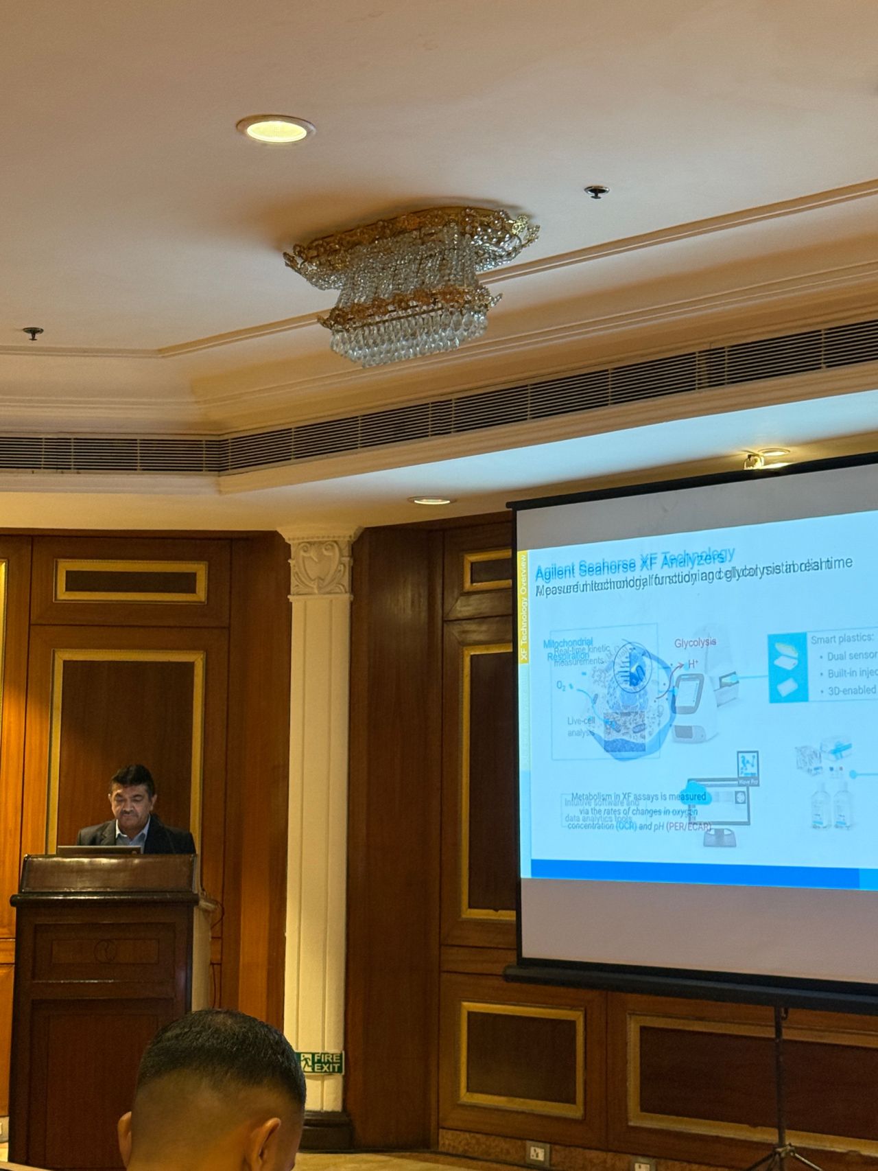 Unveiling the Seahorse XF Flex Analyzer, marking the next leap in 3D metabolic analysis