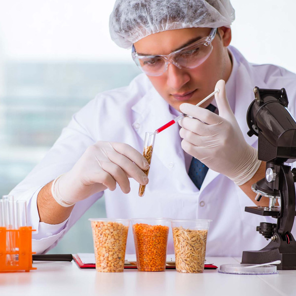 Food Safety Testing