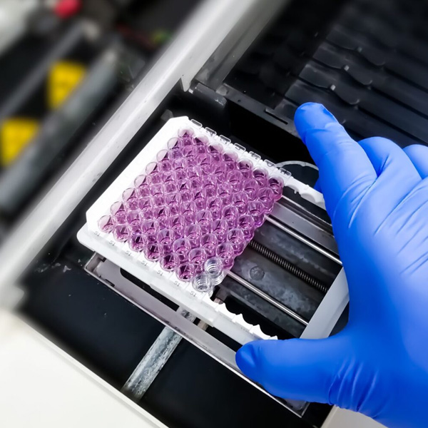 Immunoassays