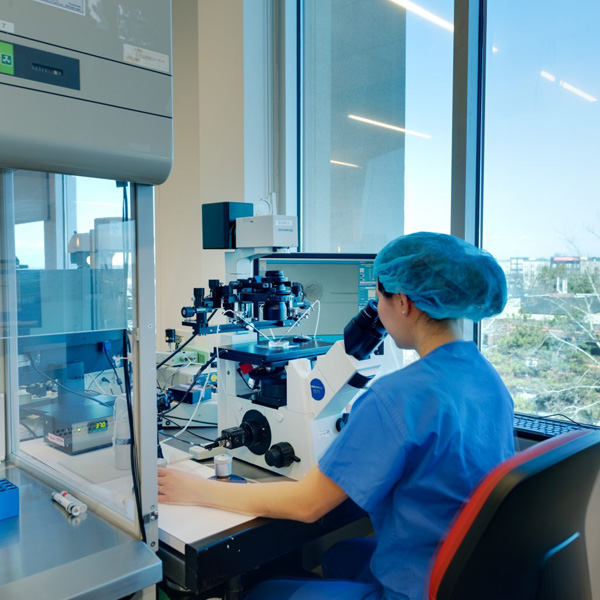 IVF Laboratories