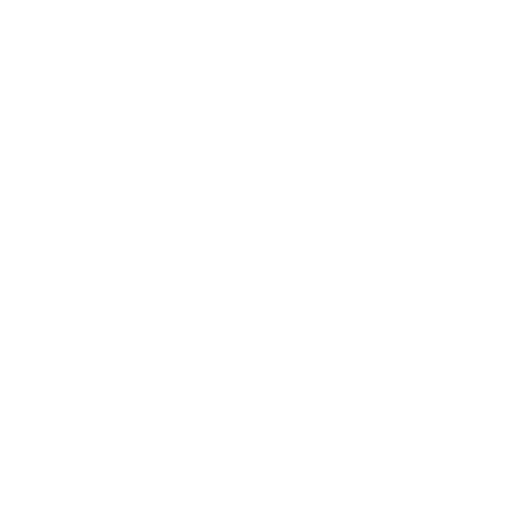 Expert-Led Application & Service Support