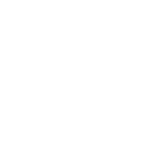 Industry Experience
