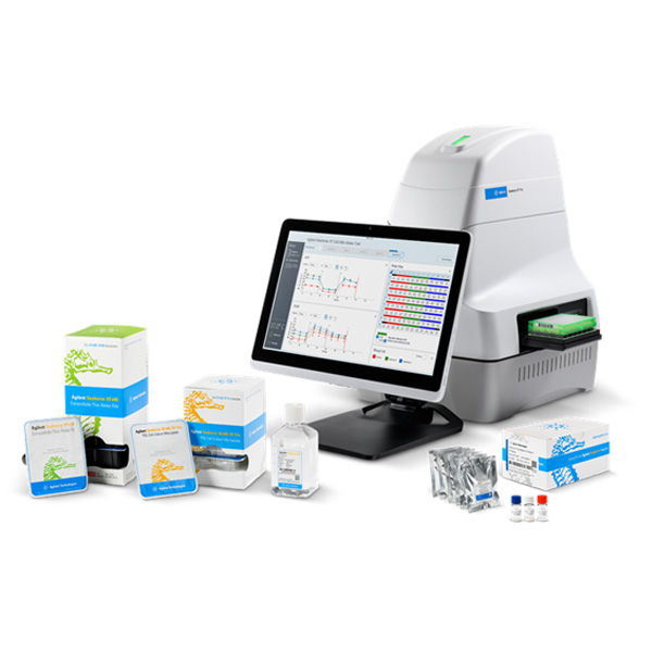 Seahorse Real Time Cell Metabolic Analysis