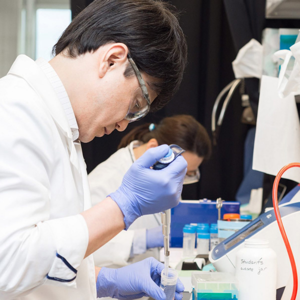 Tissue Engineering