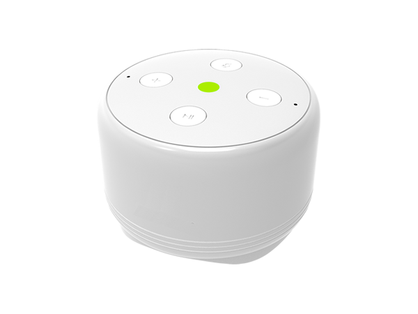 Smart Speaker